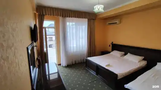 Пальма - 1