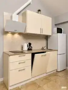 Leo - 180