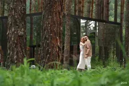 Pinewood resort & SPA - 78