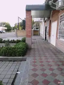 Кедр - 12
