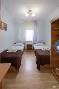 Киви и Цитрус - 85