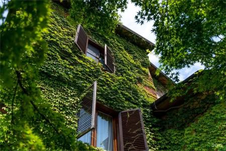 Одиссея Wellness Resort - 192