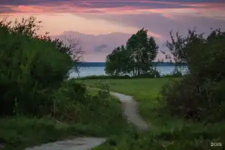 Surf Point - 39