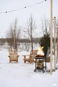 Альфа - 118