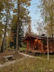 Дубки - 159