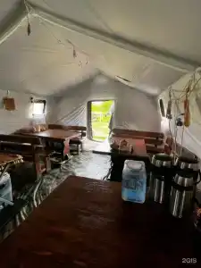 Большие лососи - 1