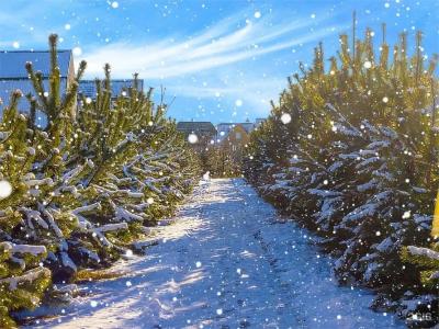 Лукоморье - 122