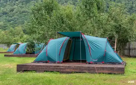 Груша - 14