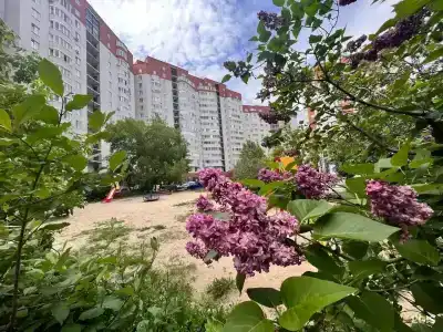 Авангард 72 на 50 лет ВЛКСМ, 19 - 31