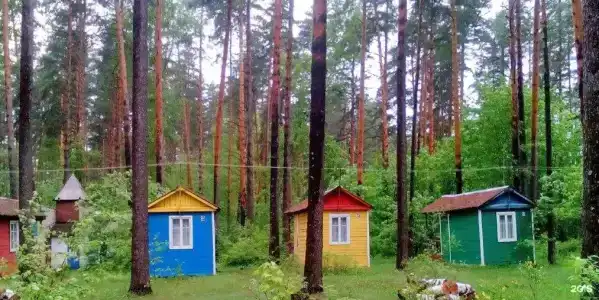 Прибрежный - 87