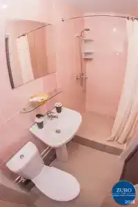 Астер - 154