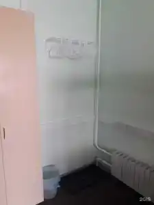 Фикус - 10