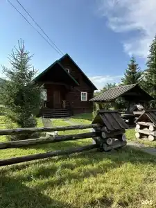 Парма - 135