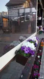Стрекоза - 34