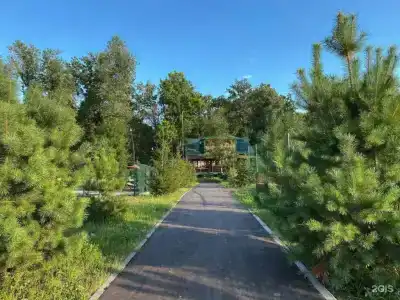 Дриада - 6