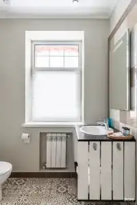 Снегирь - 163