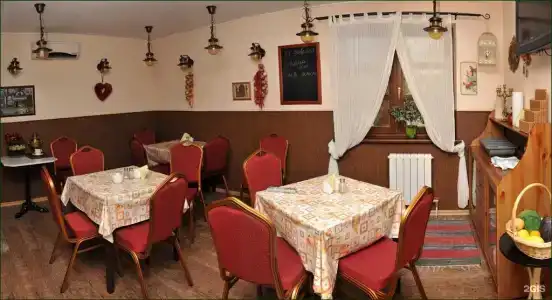 Астра - 20