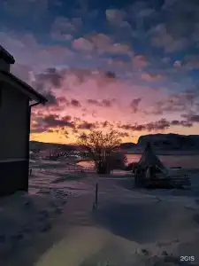 Кипрей - 5