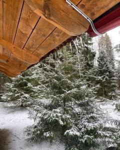 Усадьба Запруднево - 120