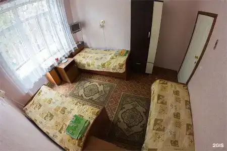 Сосны - 108