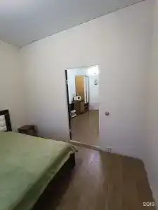 Эвкалипт - 46