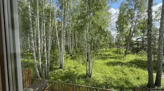 Лесовик 66 - 147