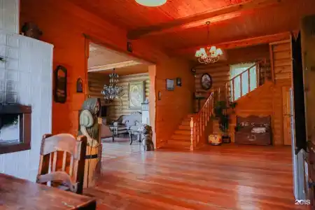 Гнездило-ВО! - 36