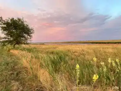 Экопарк Великокняжеский Остров - 12