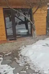 Фруктовый сад - 21