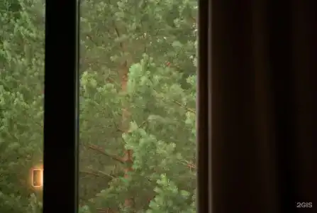 Веда - 3