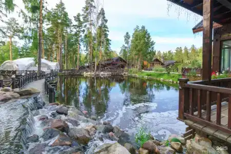 Оленьи пруды - 37