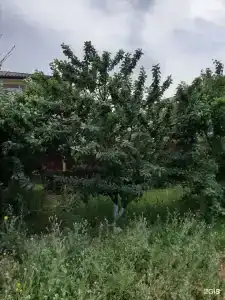 Гостевой дом на ул. Победы, 7A - 39