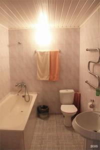 Пушкиногорье - 105