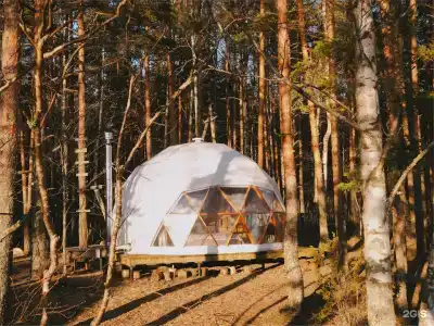 Майтри кэмп - 181