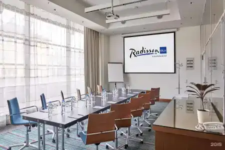 Radisson Blu Hotel - 50