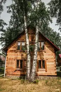 Лесная сказка - 28