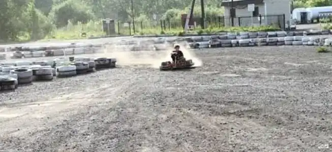 Медведь - 4