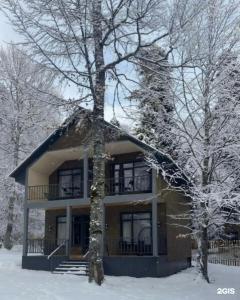 Edi House - 68
