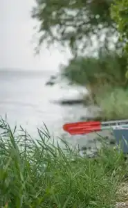 Ривер Глэмп - 18