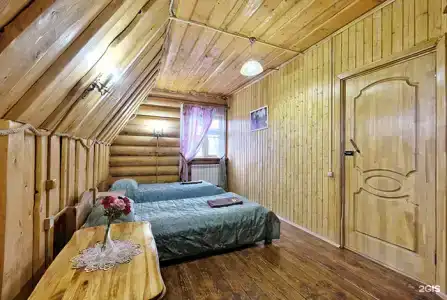 Сафари Парк - 241