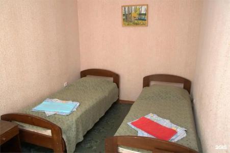 Пушкиногорье - 113