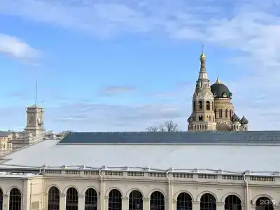 Абрикосовое дерево на набережной Обводного канала - 6