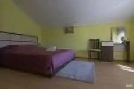 Ирис - 1