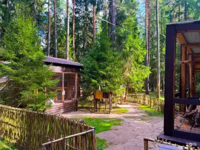 Черепашьи Озёра - 25