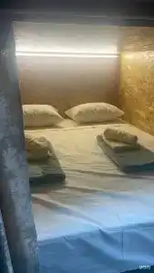 Пальмира - 37