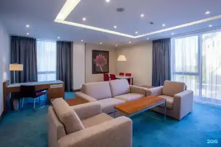 Radisson Blu Hotel - 106