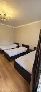 Мамисон - 6