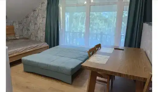 12 месяцев - 12