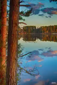 Киногородок - 15