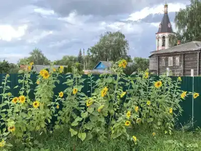Тюлень и Нерпа - 9